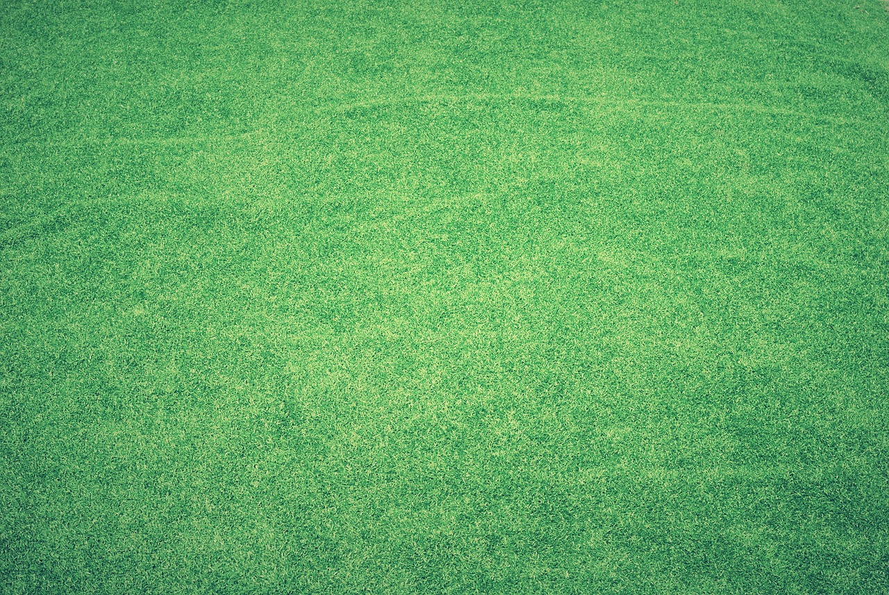 Turf farm field of warm-season grass grown for the Bluffton climate